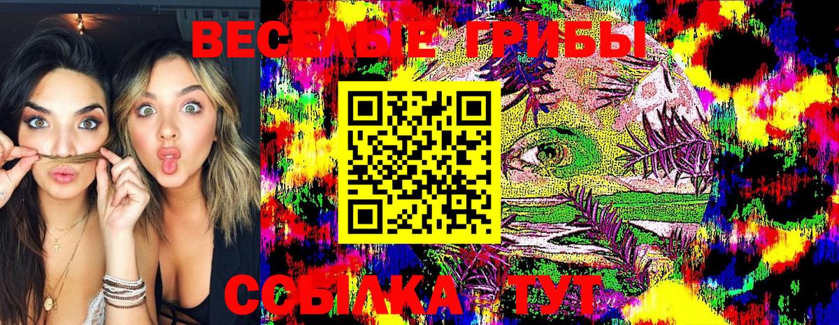 Псилоцибиновые грибы GOLDEN TEACHER  Вход с VPN  Егорьевск 