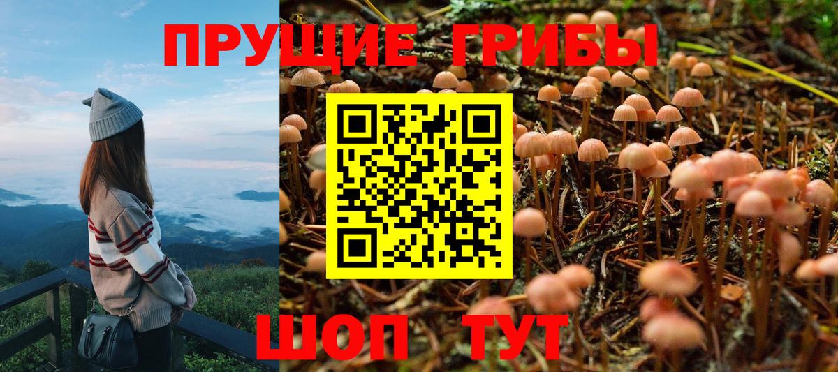 Галлюциногенные грибы MAGIC MUSHROOMS Егорьевск